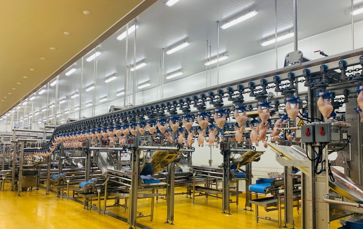CPV Food to export first batch of processed chicken to Japan